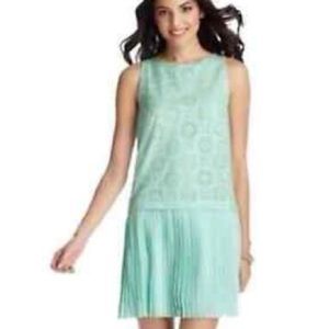 LOFT Eyelet Embroidered Mini Dress with Pleated Skirt. Size 6